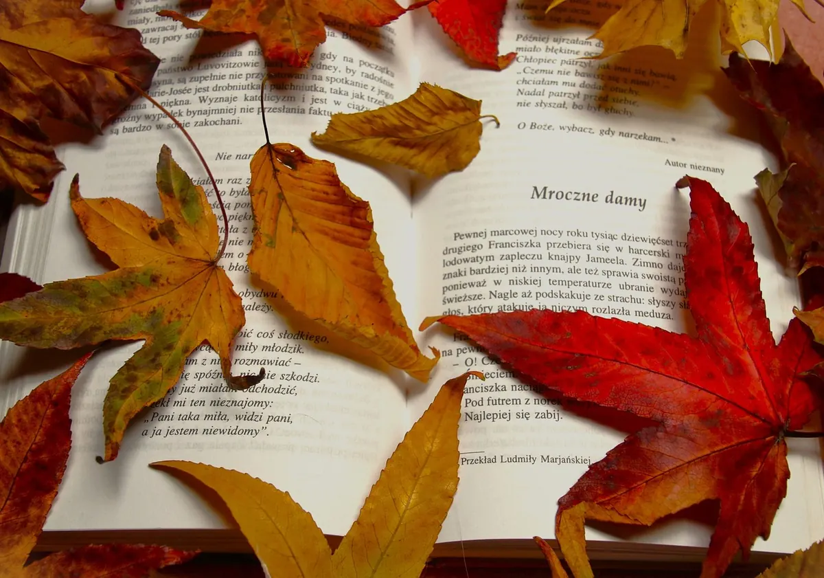 Poetry vs Song Lyrics: A Practical Comparison for Writers